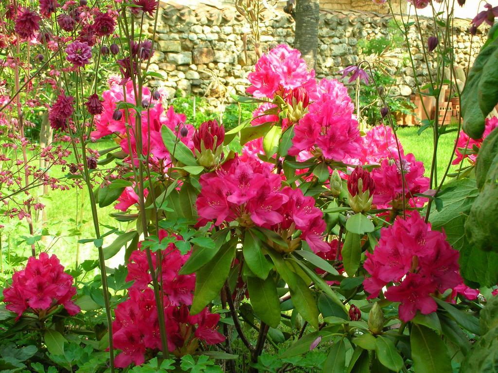 Le Logis Du Four Bed and Breakfast Soudan  Εξωτερικό φωτογραφία